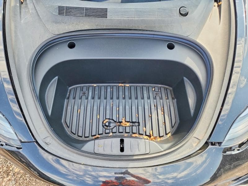 2021 TESLA MODEL 3 11