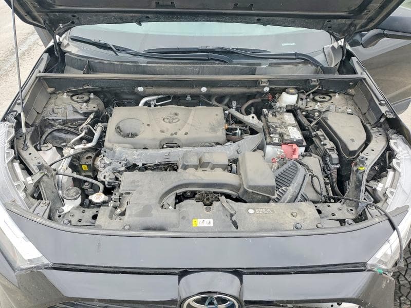 2025 TOYOTA RAV4 LE 12