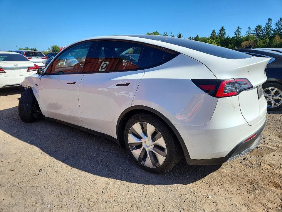 2024 TESLA MODEL Y 2