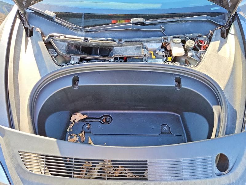 2020 TESLA MODEL 3 11