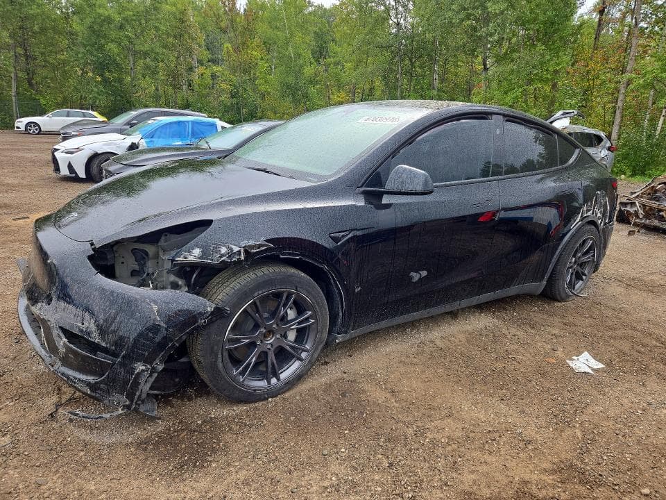 2025 TESLA MODEL Y - 1