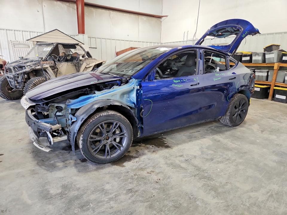 2025 TESLA MODEL Y - 1