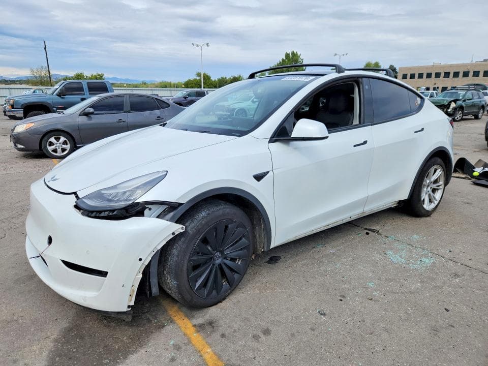 2020 TESLA MODEL Y - 1