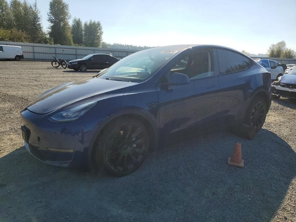 2021 TESLA MODEL Y - 1