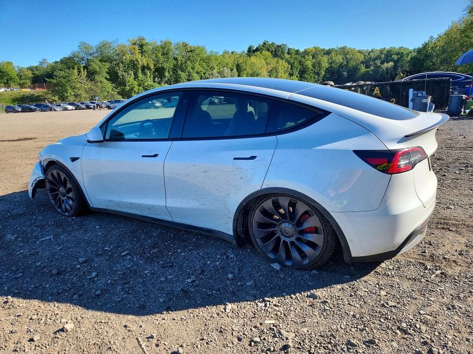 2023 TESLA MODEL Y 2