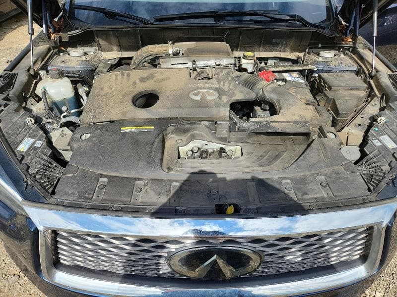 2019 INFINITI QX50 LUXE 12