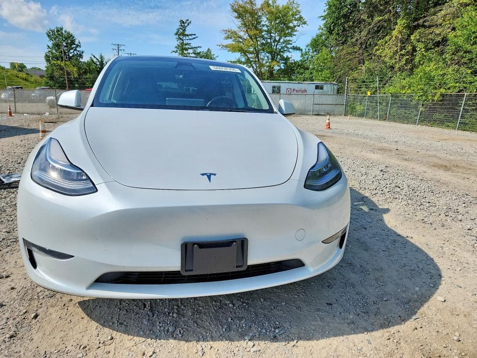 2023 TESLA MODEL Y 5