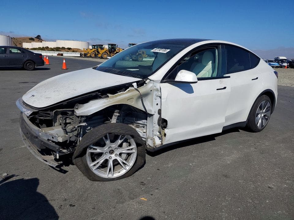 2023 TESLA MODEL Y - 1