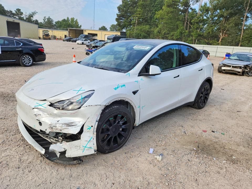 2021 TESLA MODEL Y - 1