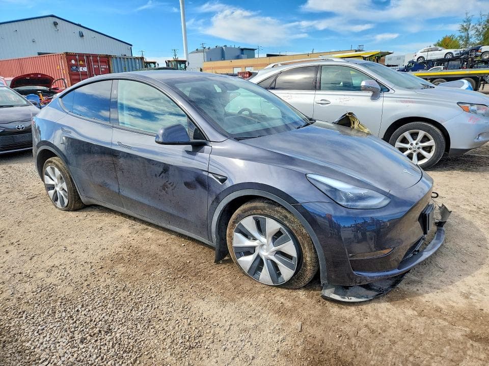 2024 TESLA MODEL Y 4