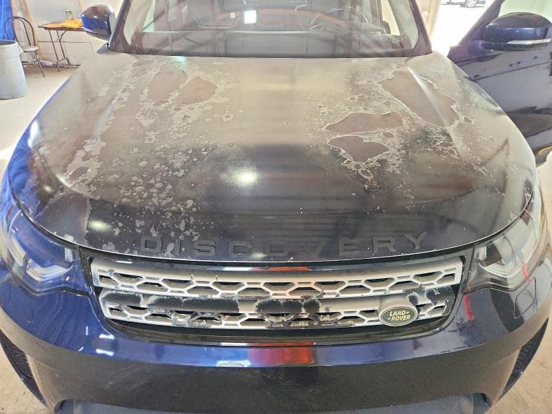 2019 LAND ROVER DISCOVERY SE 12