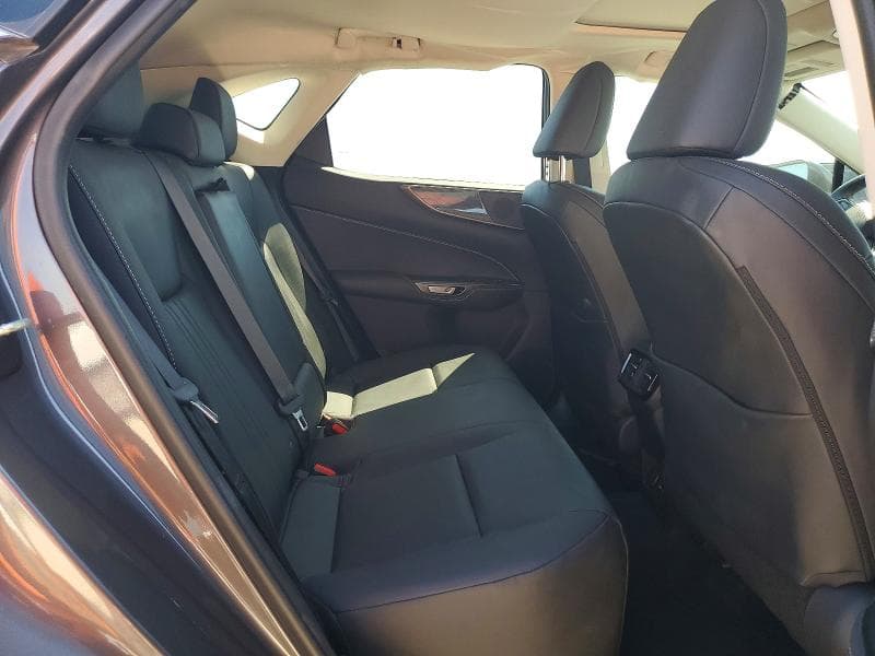 2024 LEXUS NX 250 PREMIUM 11