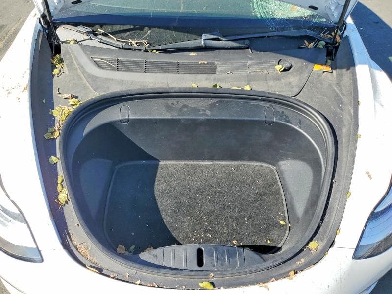 2019 TESLA MODEL 3 11