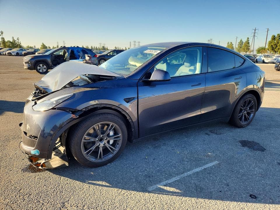 2025 TESLA MODEL Y - 1