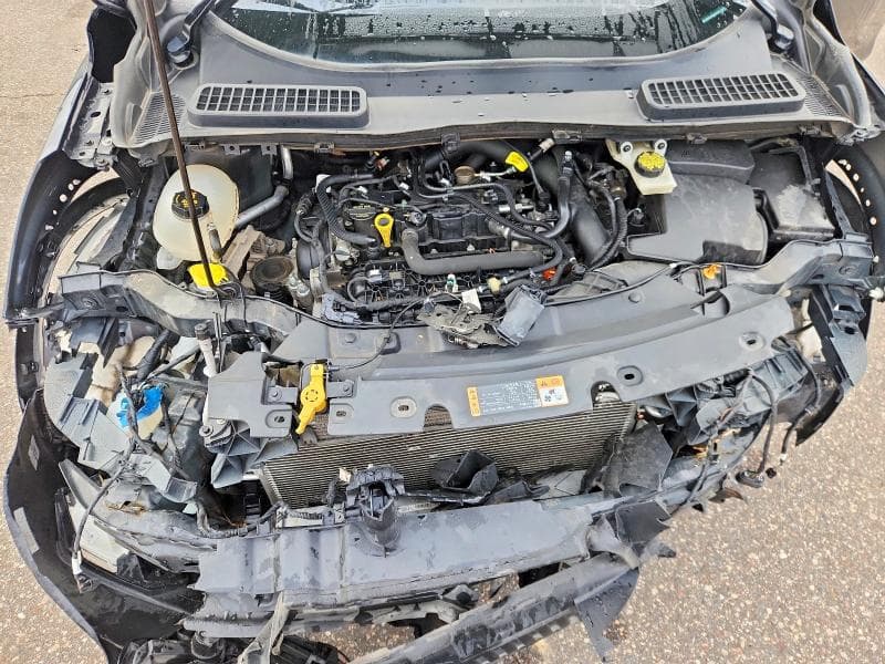 2019 FORD ESCAPE SEL 12