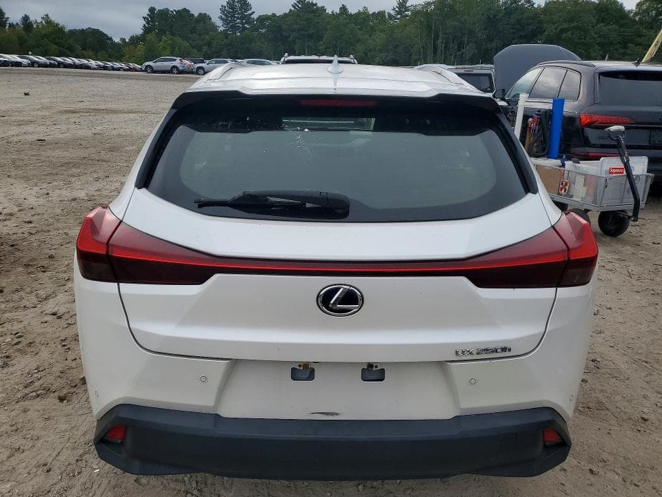2020 LEXUS UX 250H 6
