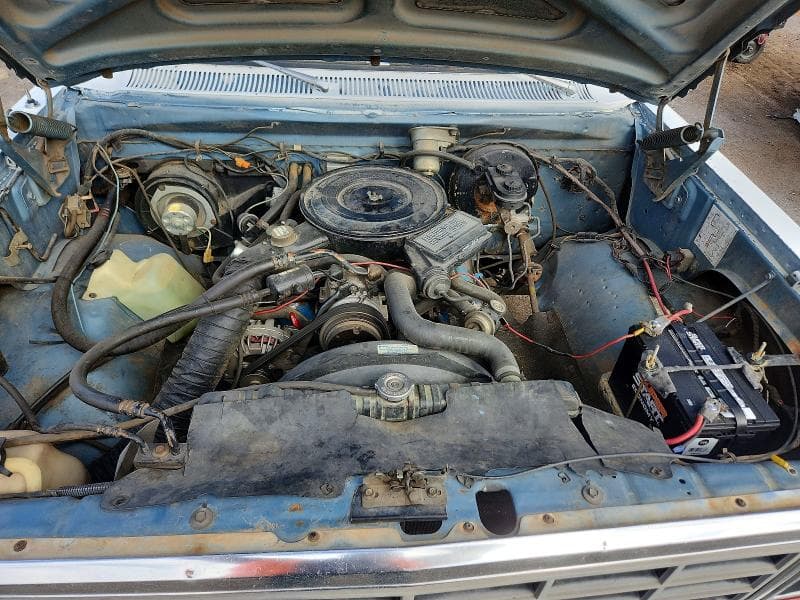 1983 DODGE D-SERIES D150 11
