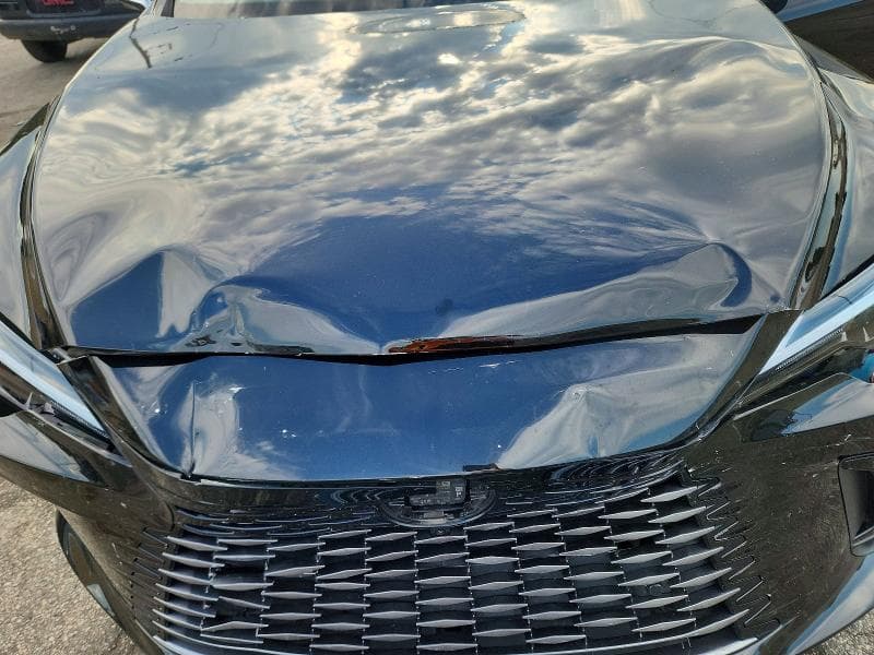 2024 LEXUS RX 350H PREMIUM 12