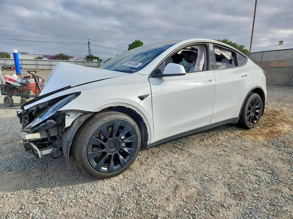 2021 TESLA MODEL Y - 1