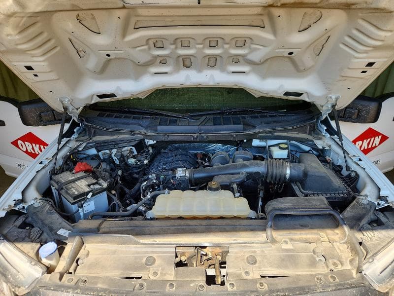 2021 FORD F150 11