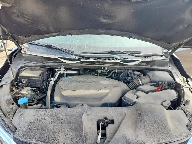 2019 HONDA ODYSSEY EXL 12