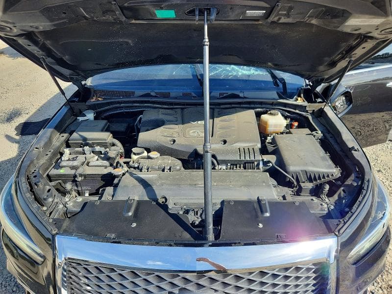 2019 INFINITI QX80 LUXE 12