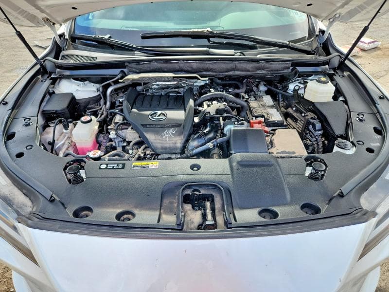 2024 LEXUS RX 350 PREMIUM 12