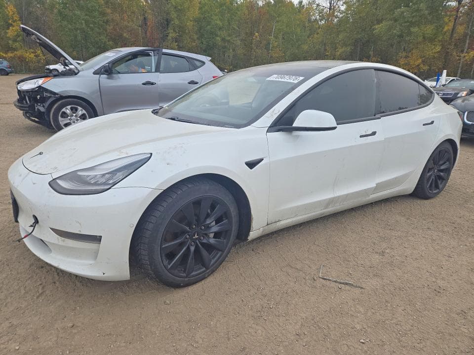 2020 TESLA MODEL 3 - 1