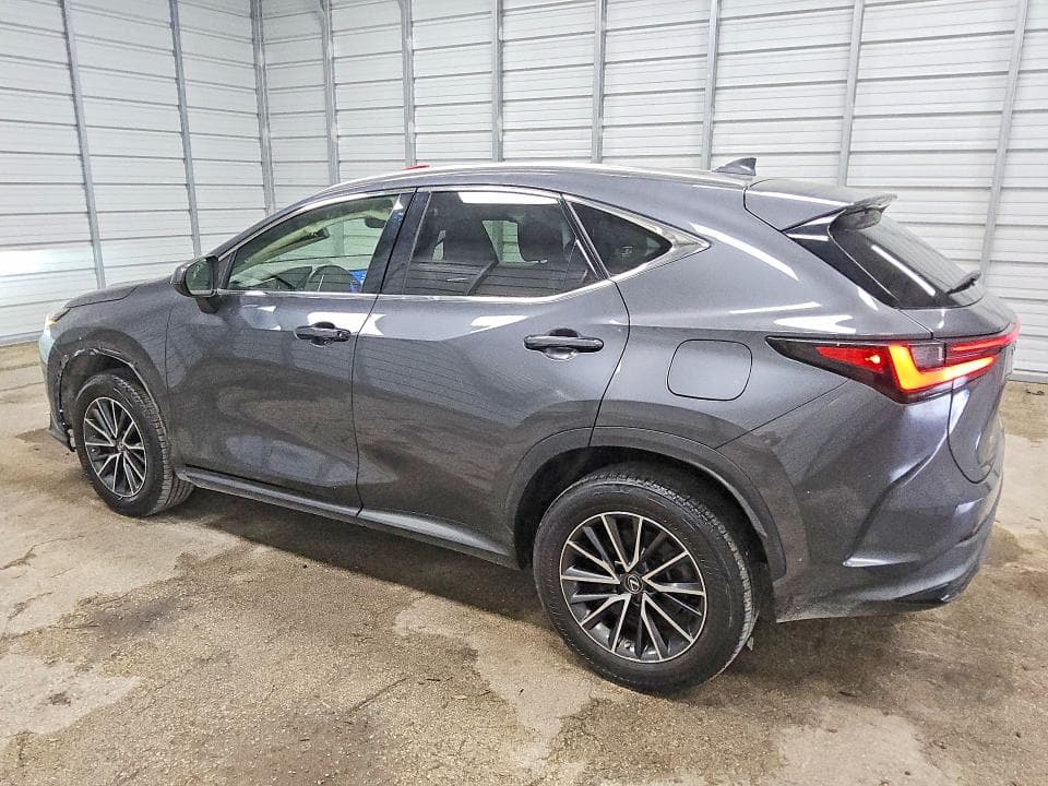 2023 LEXUS NX 250 2