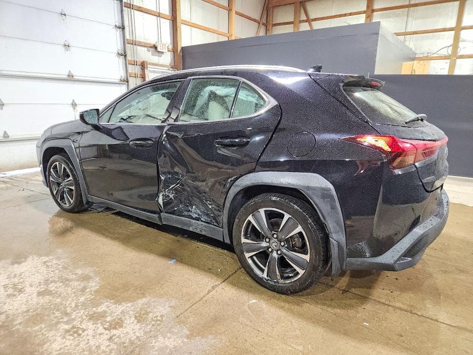 2019 LEXUS UX 250H 2