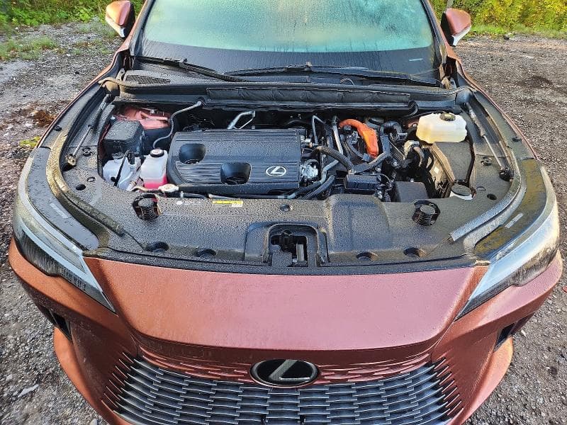 2023 LEXUS RX 350H BASE 12