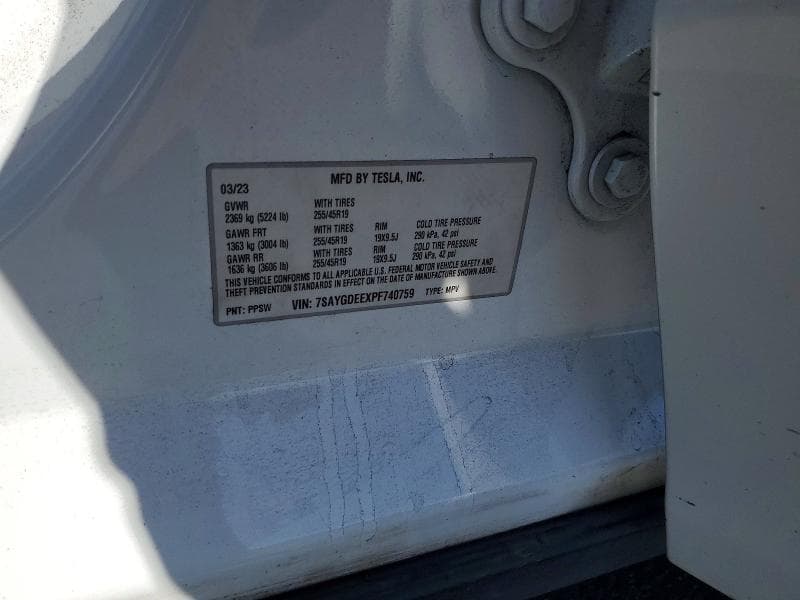 2023 TESLA MODEL Y 13
