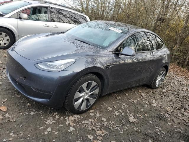 2021 TESLA MODEL Y - 1