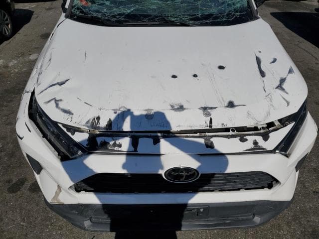 2019 TOYOTA RAV4 LE 12