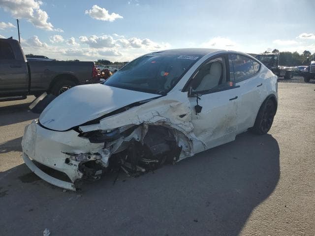 2021 TESLA MODEL Y - 1