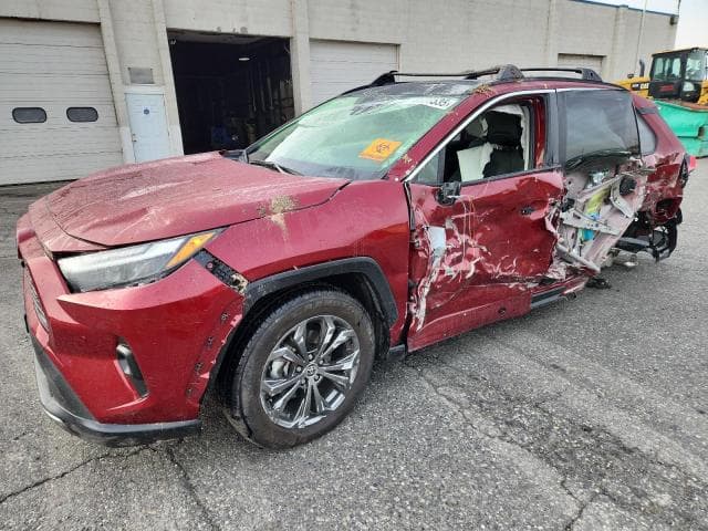 2024 TOYOTA RAV4 LIMITED - 1