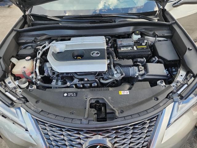 2019 LEXUS UX 200 11