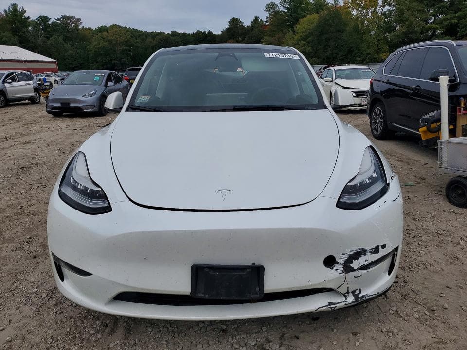 2023 TESLA MODEL Y 5