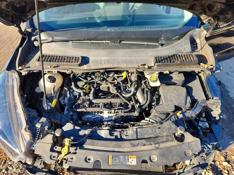2019 FORD ESCAPE SE 12