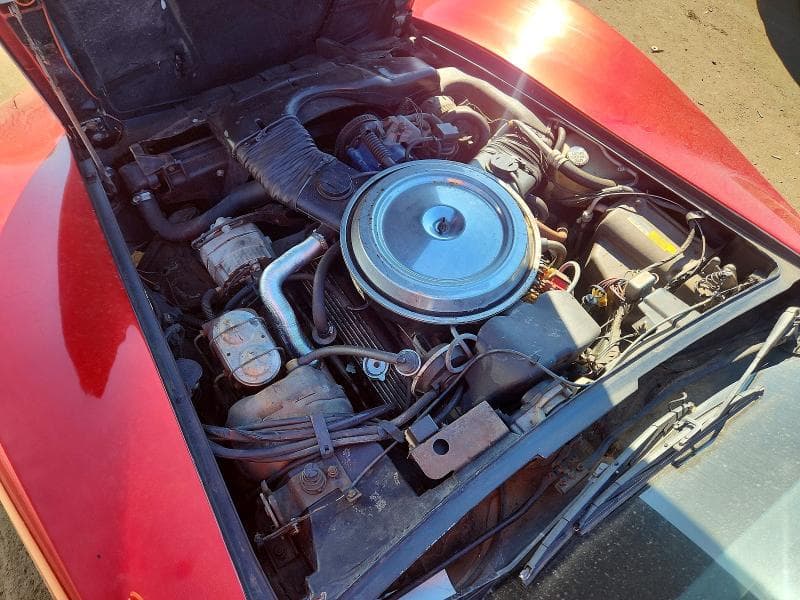 1981 CHEVROLET CORVETTE 11