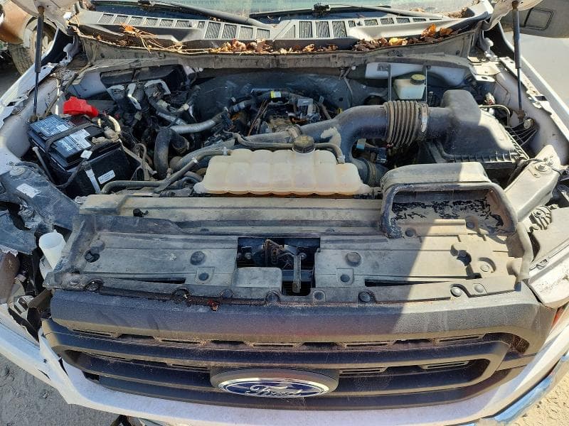2023 FORD F150 SUPERCREW 11