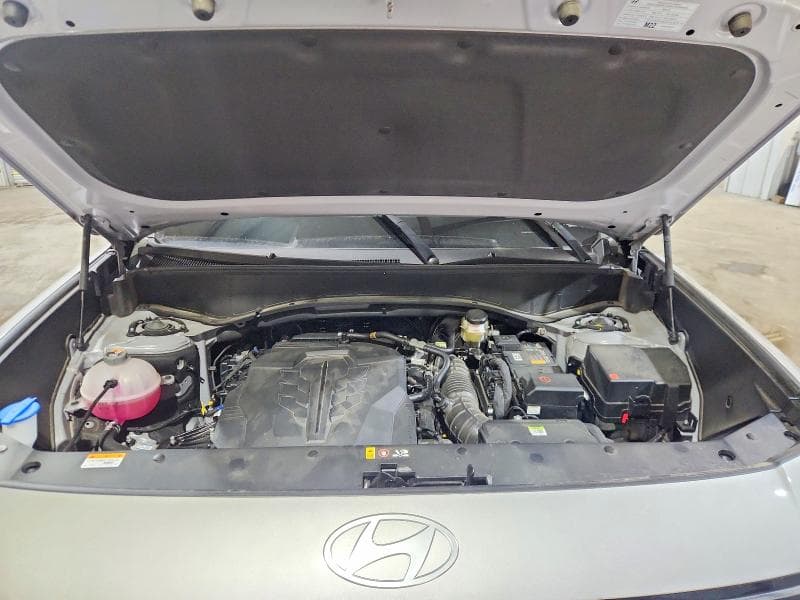 2026 HYUNDAI PALISADE SEL 12