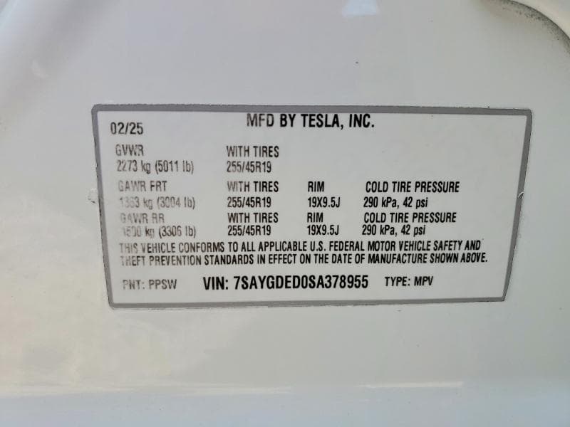 2025 TESLA MODEL Y 12