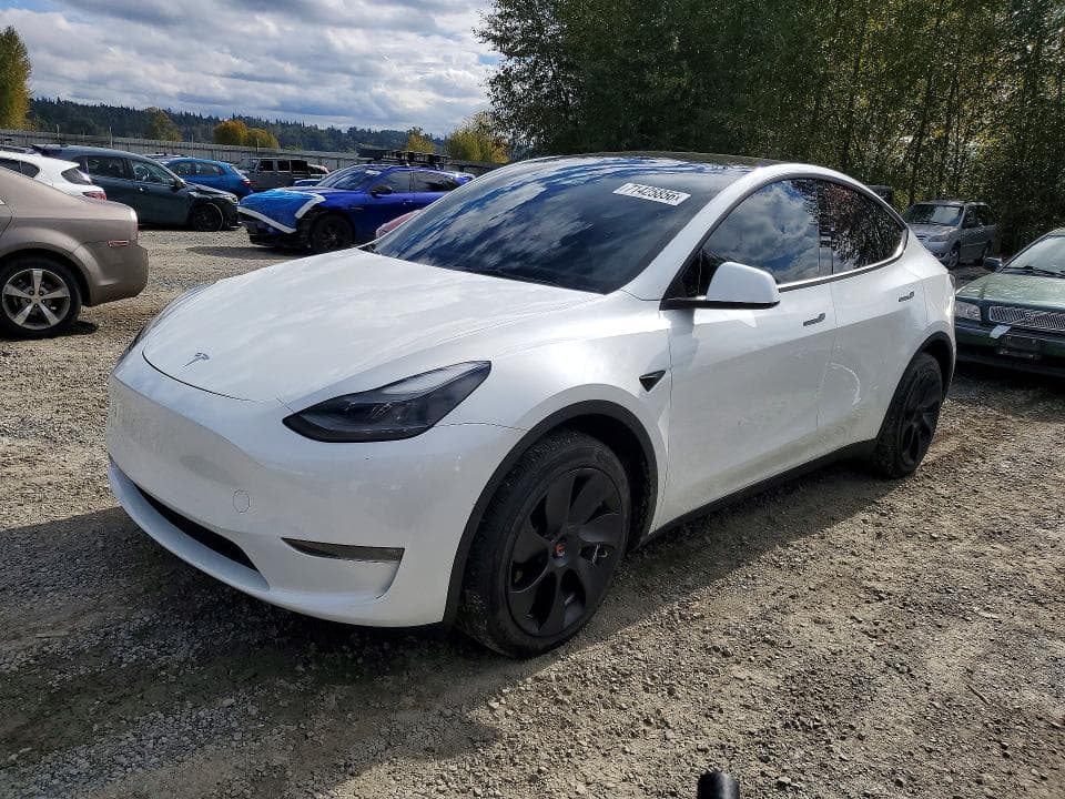 2023 TESLA MODEL Y - 1