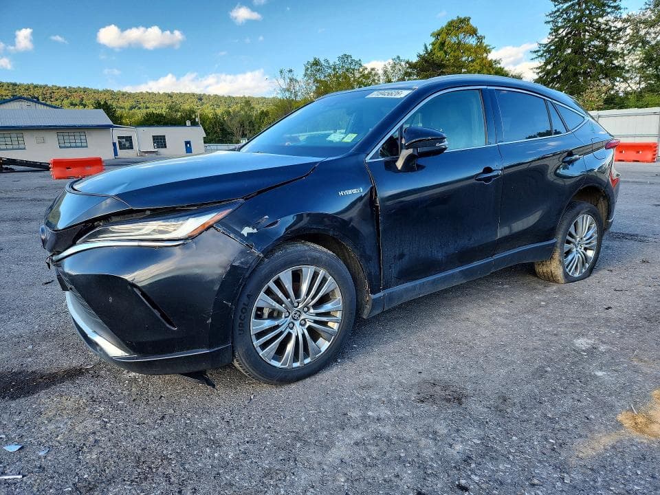 2021 TOYOTA VENZA XLE