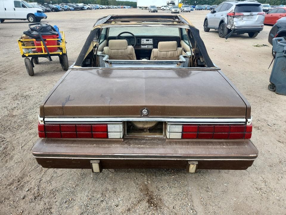 1984 DODGE 600 6