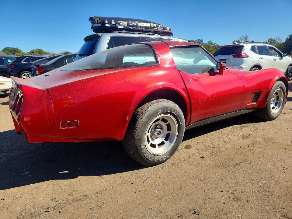 1981 CHEVROLET CORVETTE 3