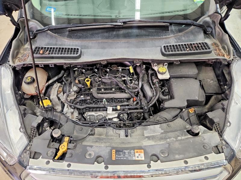 2019 FORD ESCAPE SE 12