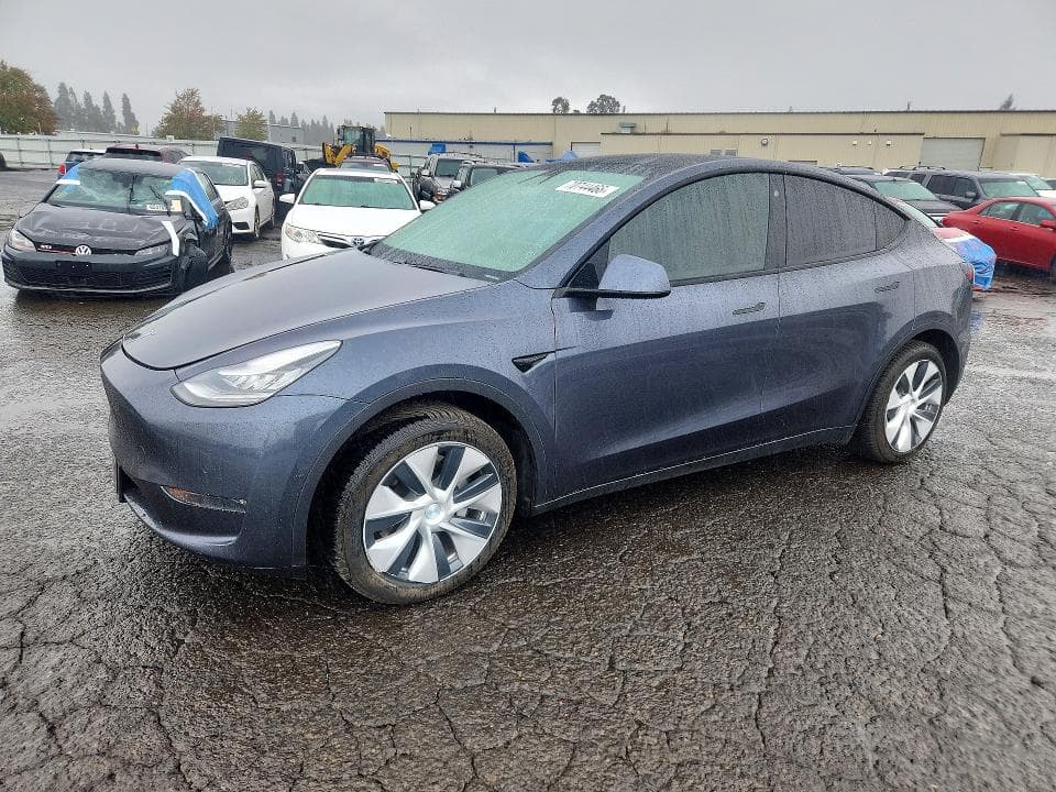 2020 TESLA MODEL Y - 1