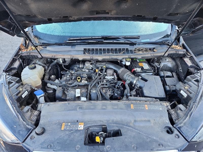 2019 FORD EDGE TITANIUM 12